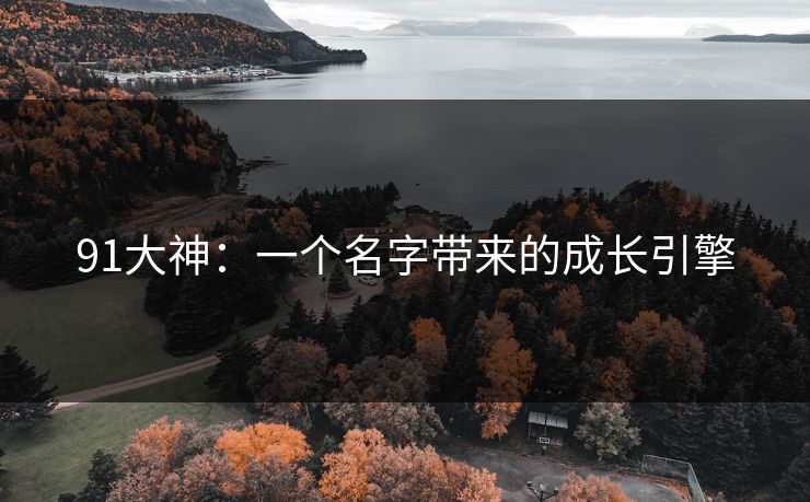 91大神：一个名字带来的成长引擎