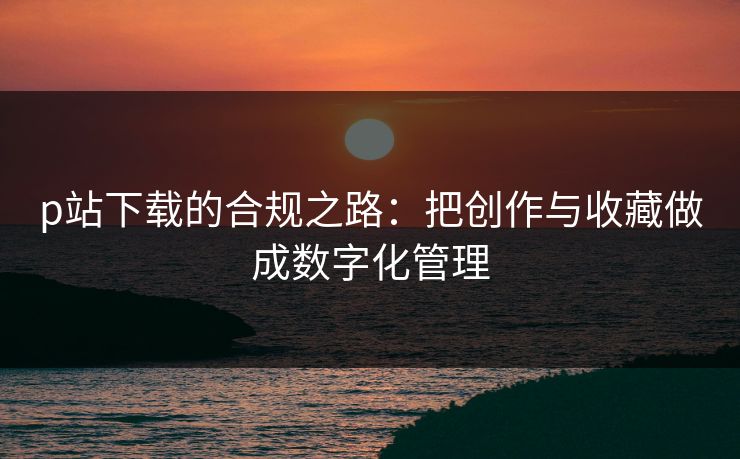 p站下载的合规之路：把创作与收藏做成数字化管理